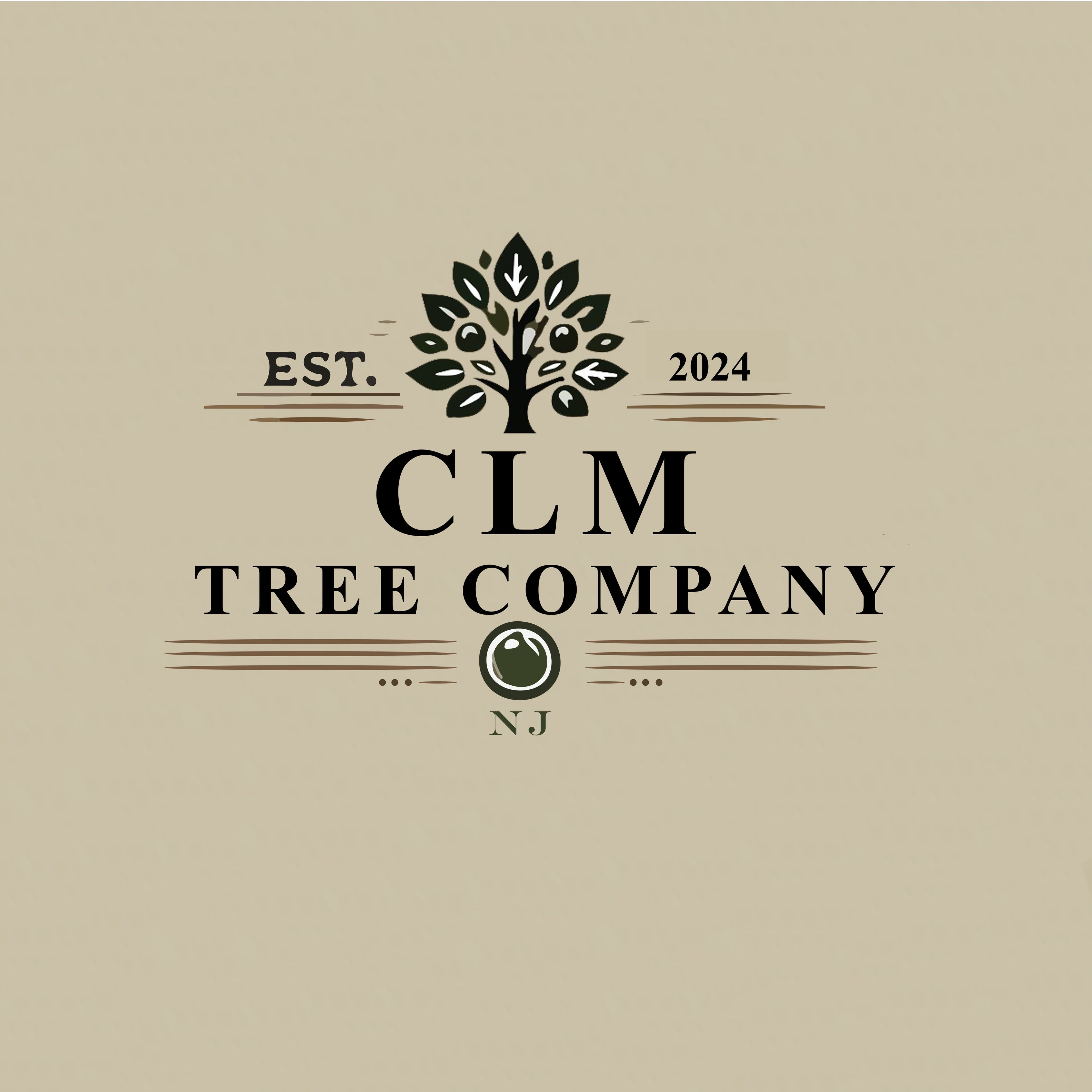Logo image 29