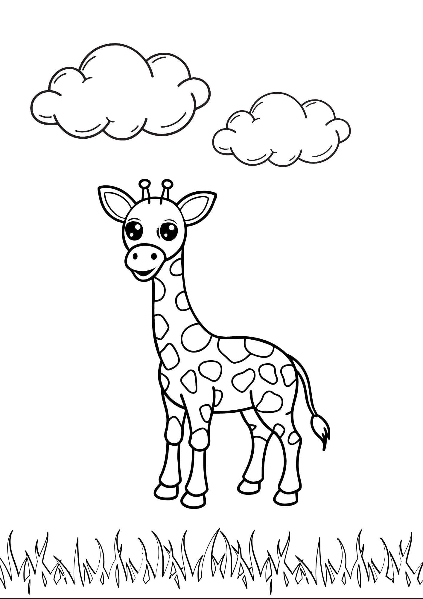 Sketch image 11