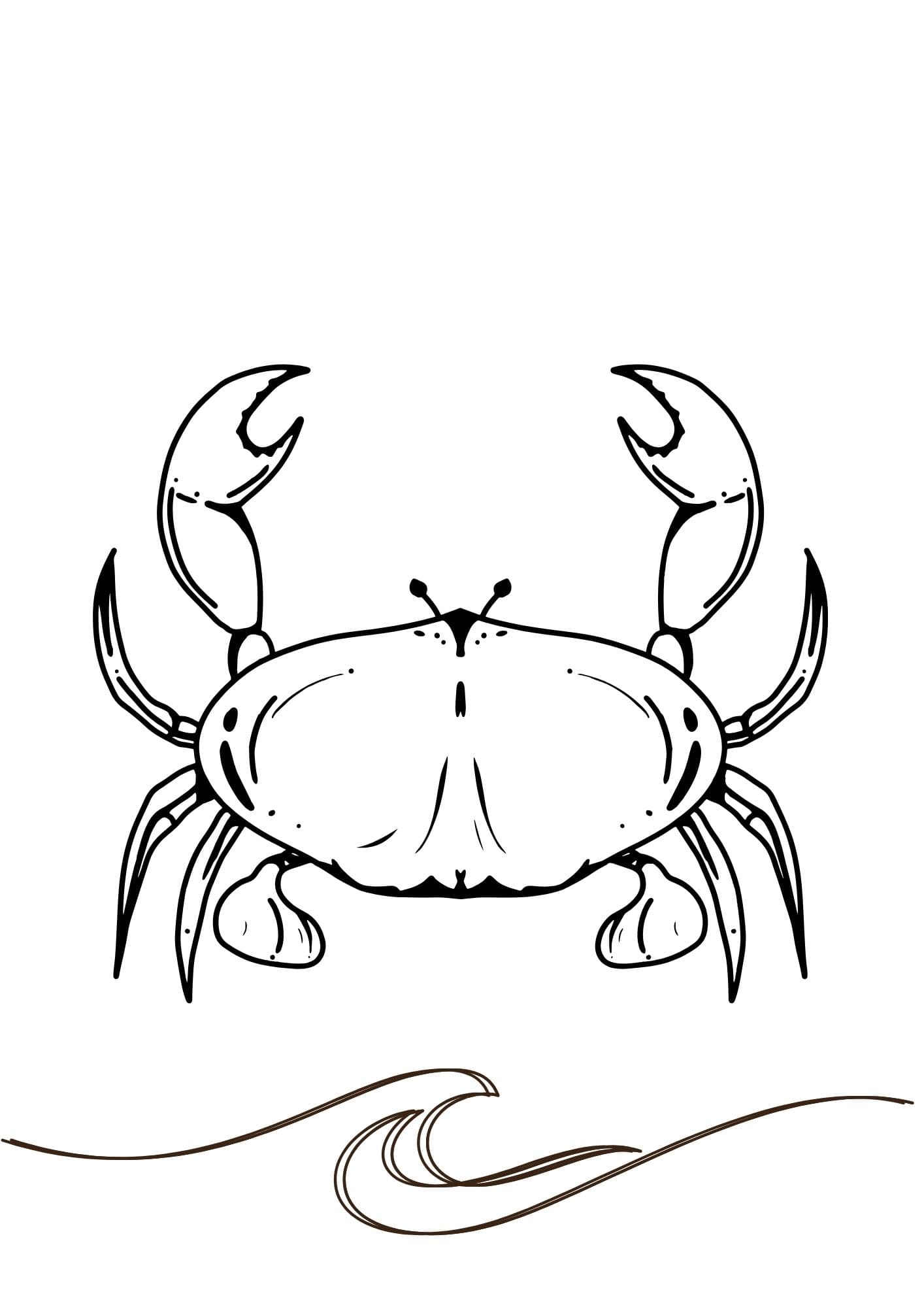 Sketch image 40