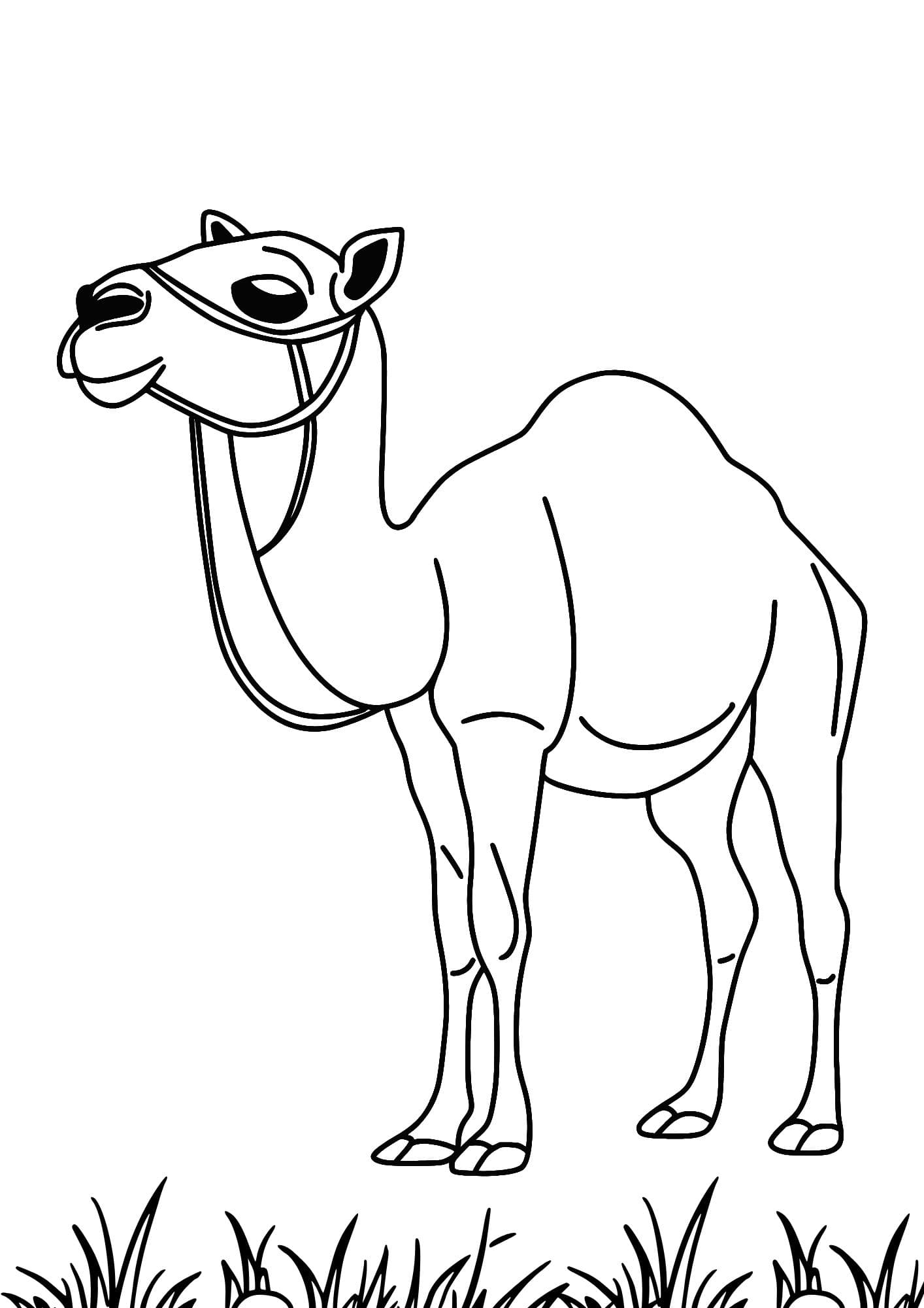 Sketch image 45