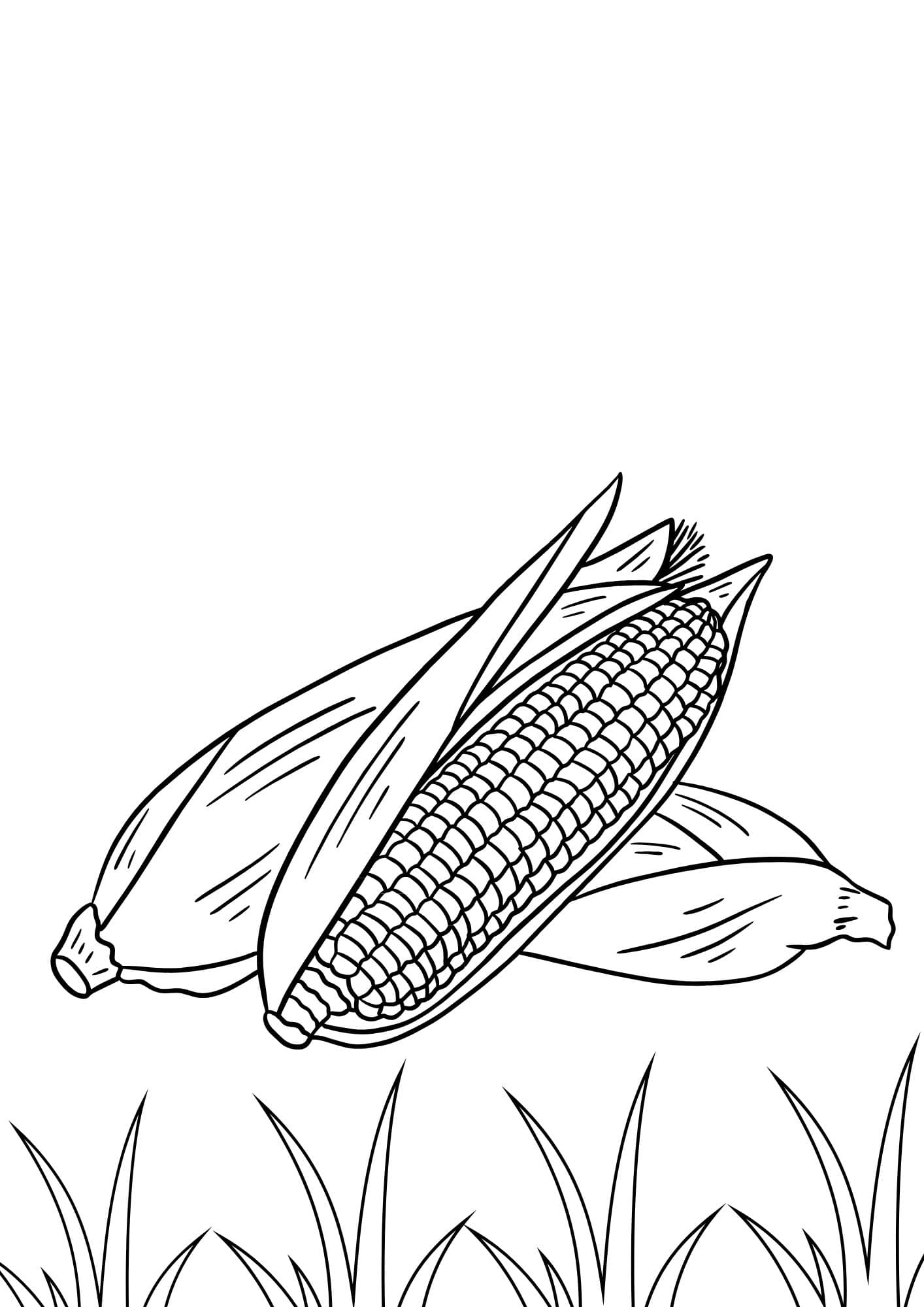 Sketch image 47