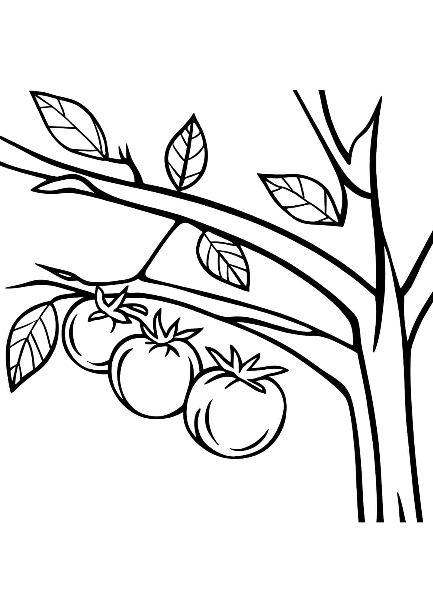 Sketch image 52