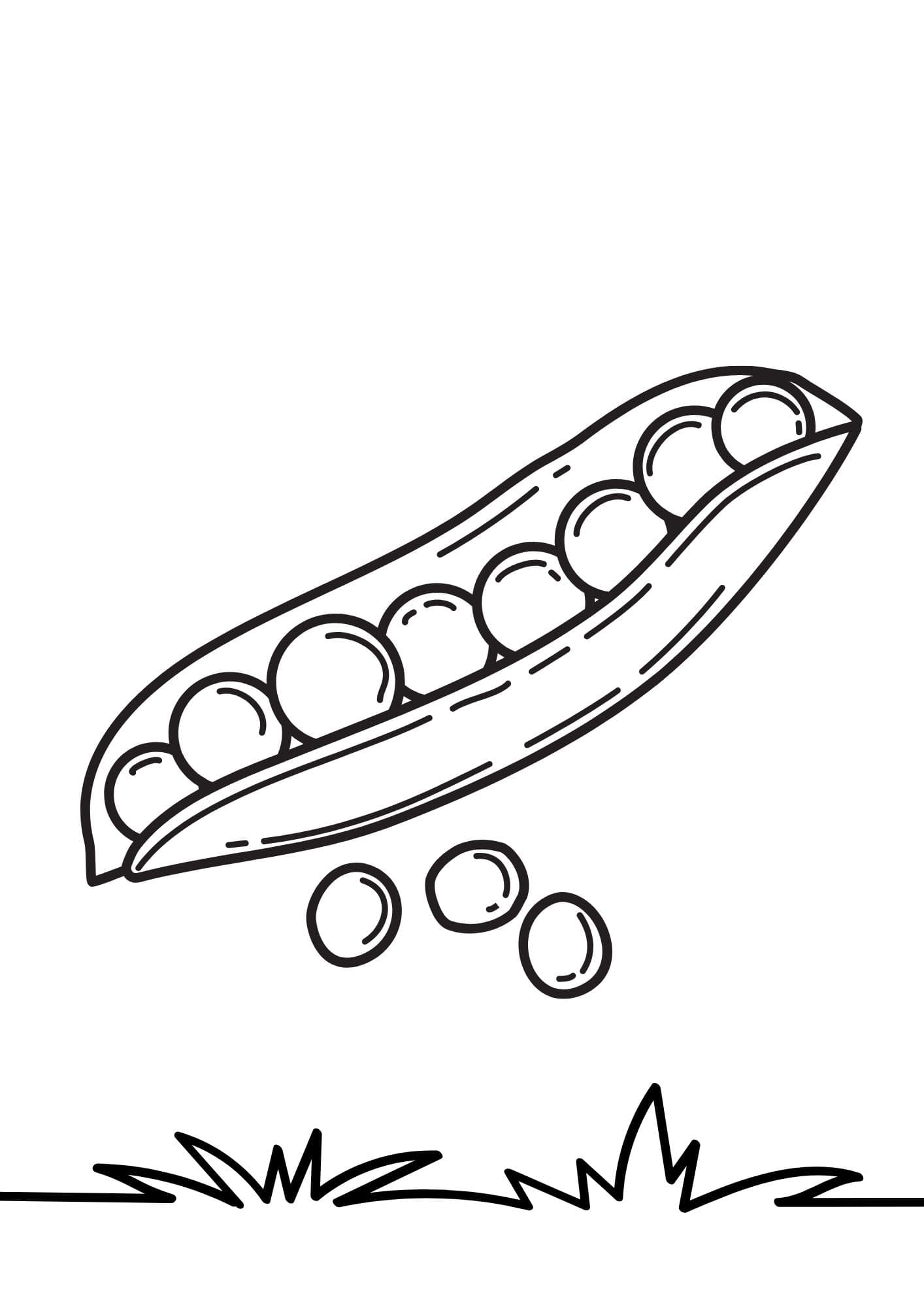 Sketch image 64