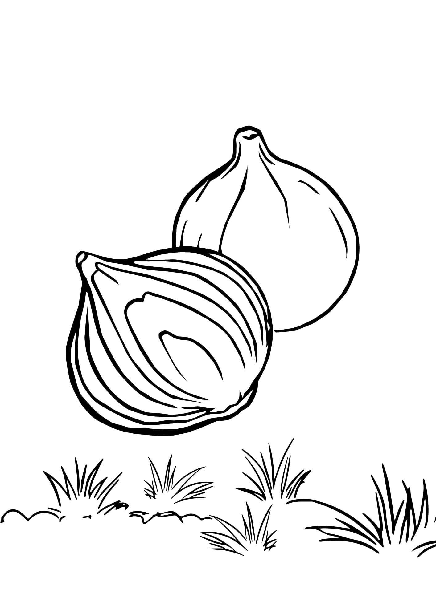 Sketch image 67